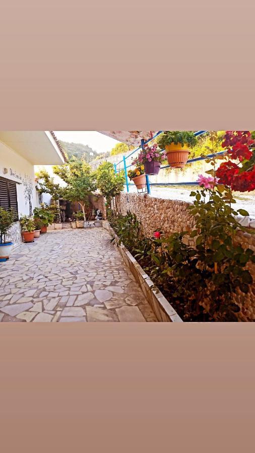 Olive Tree Villa リジア エクステリア 写真