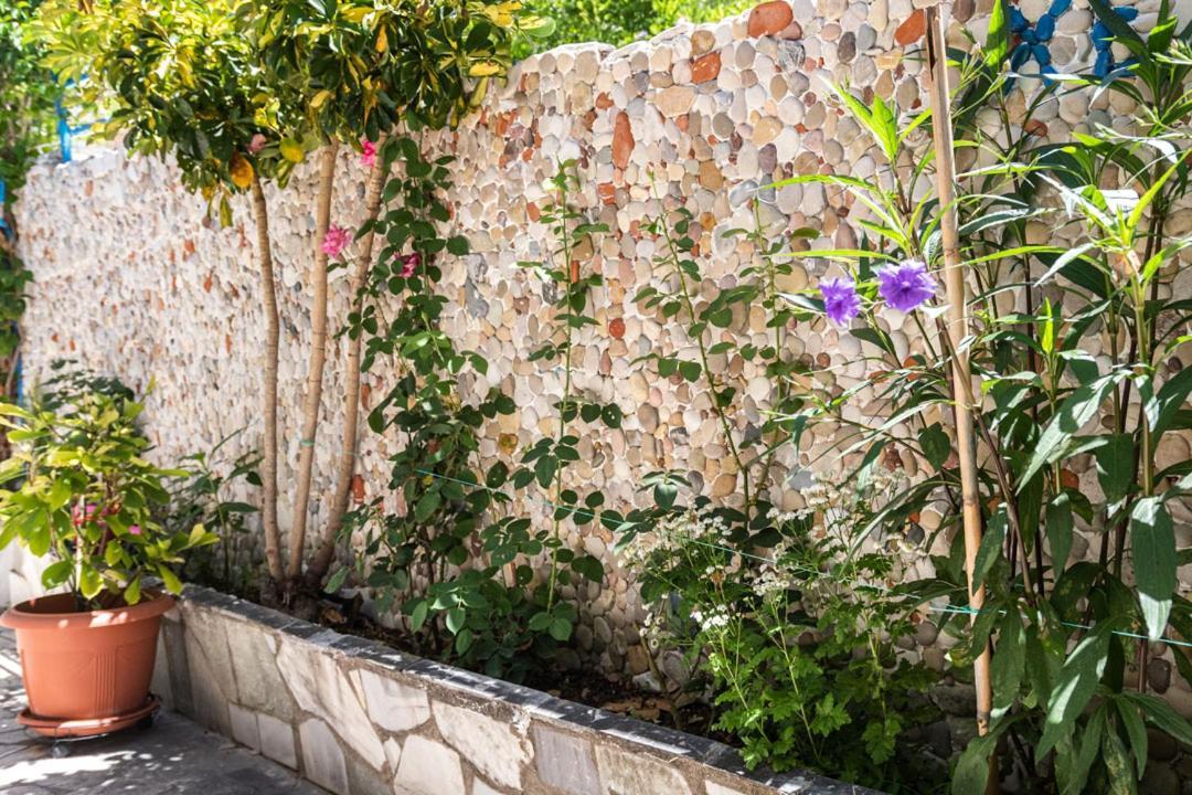 Olive Tree Villa リジア エクステリア 写真