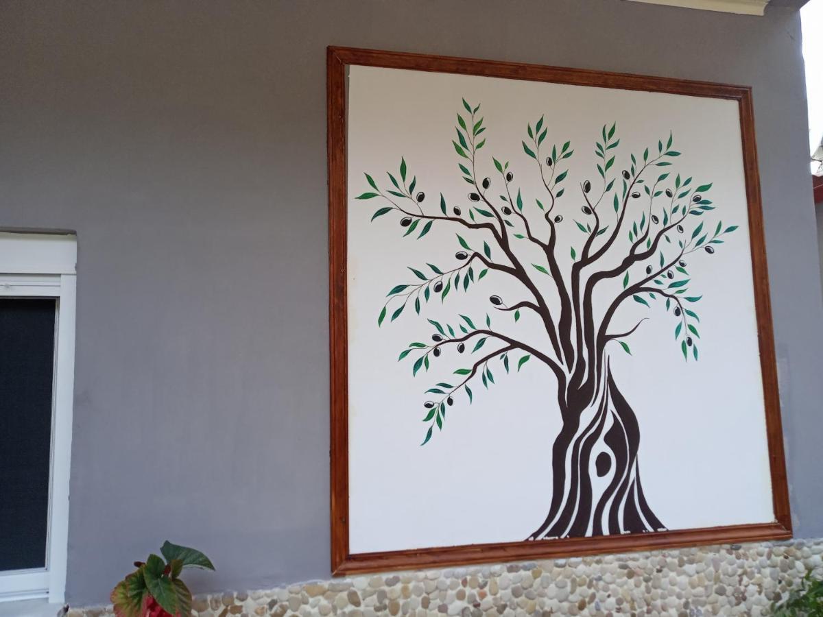 Olive Tree Villa リジア エクステリア 写真